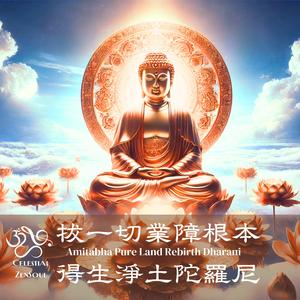 Amitabha Pure Land Rebirth Dharani《拔一切業障根本得生淨土陀羅尼》