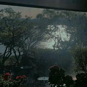 不用怀恋（Pro by discent ）