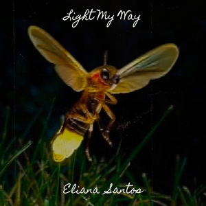 Light My Way