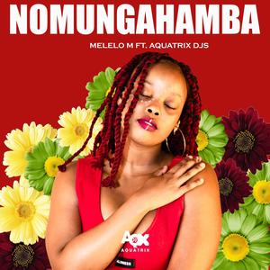 Nomungahamba (feat. Melelo M)