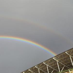 江海不渡你_の_20220729_131413