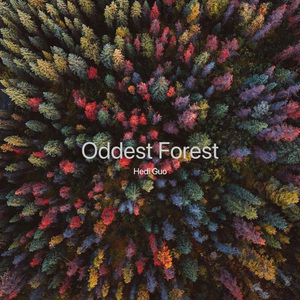 Oddest Forest (Original Mix)