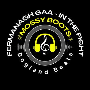 Fermanagh GAA (In The Fight)