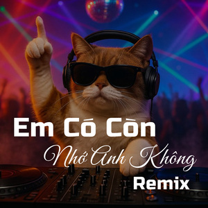 Em Có Còn Nhớ Anh Không (remix)