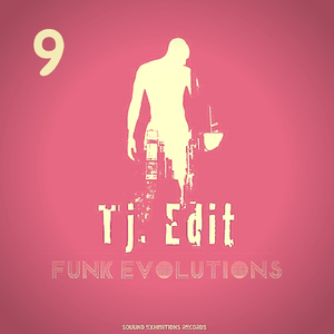 Funk Evolutions 9 (Original Mix)