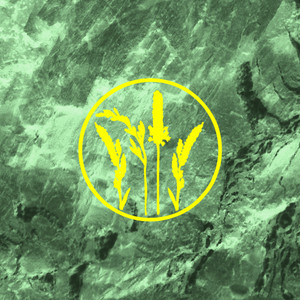 Wild Grasses