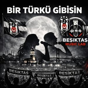 Beşiktaş Türküsü | Bir Türkü Gibisin (feat. Abdurrezzak Özdemir)