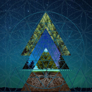 Old Growth (feat. OceanTeal & Mehdi Makraz)