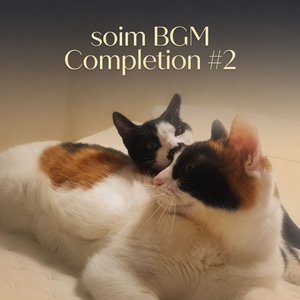 Cobblestones and Cedar #2