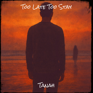 Too Late Too Stay