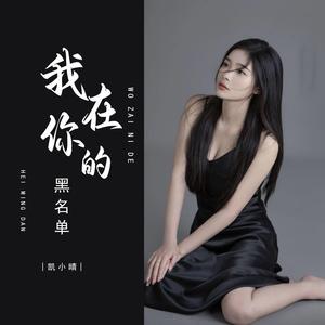 我在你的黑名单 (加快版)