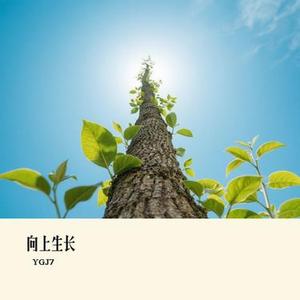 向上生长 (Cover 排骨教主)