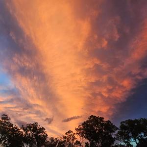 An Oath to the G.O.A.T