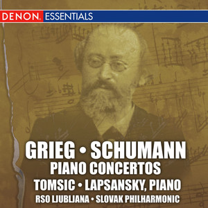 Concerto for Piano and Orchestra in A Minor, Op. 16: I. Allegro moderato molto e marcato - Quasi presto - Andante maestoso