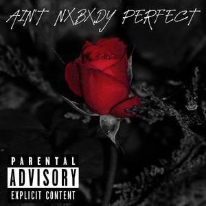 AIN'T NXBXDY PERFECT