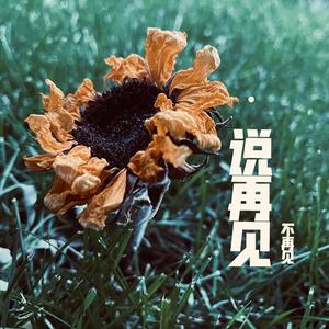 说再见,不再见