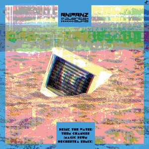 Drink the Water (Instrumental)