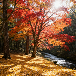 睡前音乐｜温柔夜色