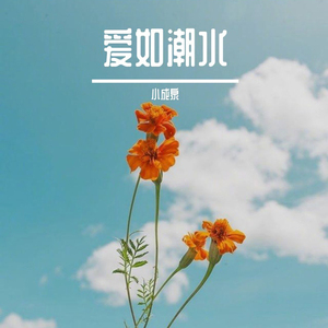 别让你女朋友给我打电话