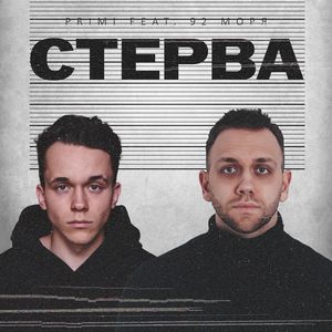 Стерва