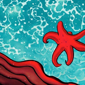 海角（Starfish）