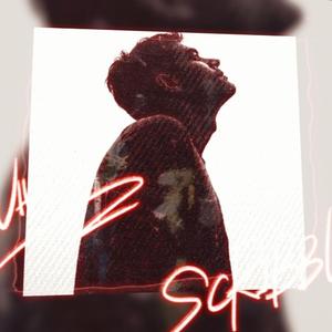 ZyloMusic-Pas cu pas (am realizat multe)