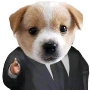 Khi Yêu Nào Đâu Ai Muốn