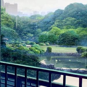 Lotus Pond after Summer Rain（夏雨过后的荷塘）