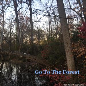 Morning on the Mountain