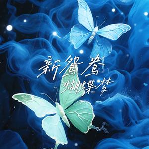 新鸳鸯蝴蝶梦（R&B）