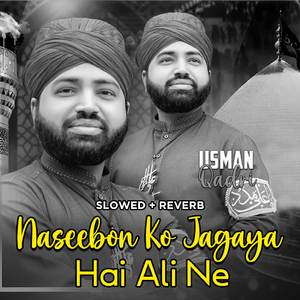Naseebon Ko Jagaya Hai Ali Ne (Lofi-Mix)