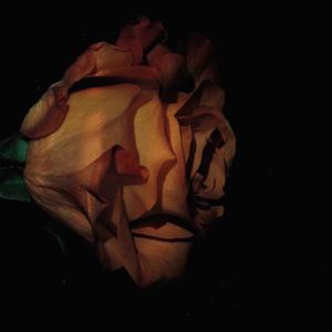 下山 (cover: 要不要买菜)