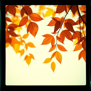 夏の終わりに見つけたもの