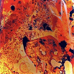 Today, I Bought a Dog Named Lilo