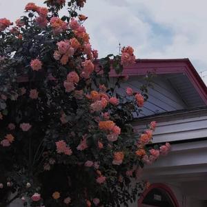 Have（prod.yeruile）