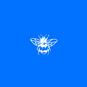 Elephant (Original Mix)