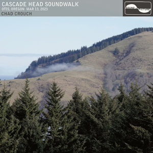 Part 14, Cedar Sense