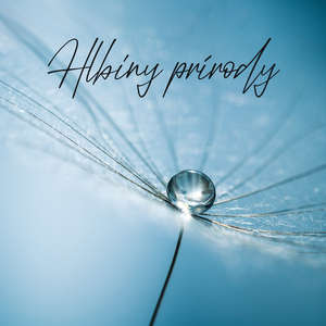 Hypnóza s relaxáciou