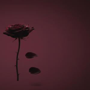 Kara Kara Düşünürüm