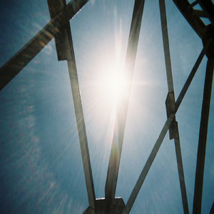 枯れてしまう花をください