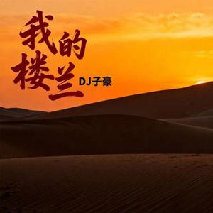 我的楼兰 (2026DJ版)
