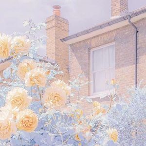 Sunrain（Prod by.Teamriich）