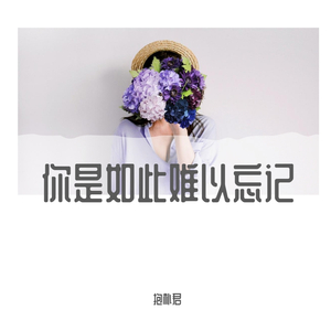 你是如此难以忘记