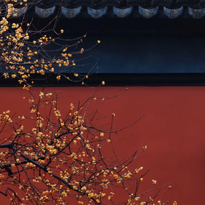 古韵芳华（钢琴版）