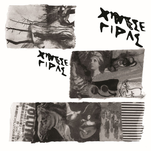 Exploded Skull Drawing