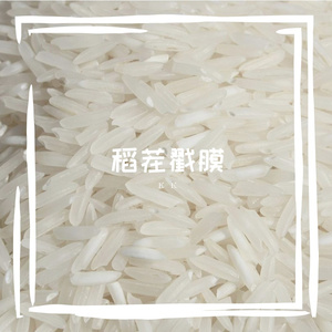 KK的歌