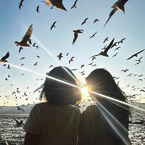 一百万个可能dj（xy remix）