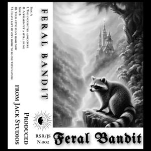 Your attic is MY home now