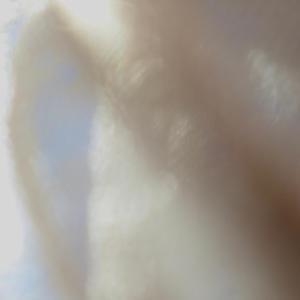 Lay Me Down Under The Harvest Moon