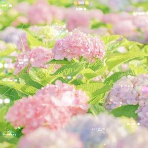 十年生死两茫茫  (恶女BGM)